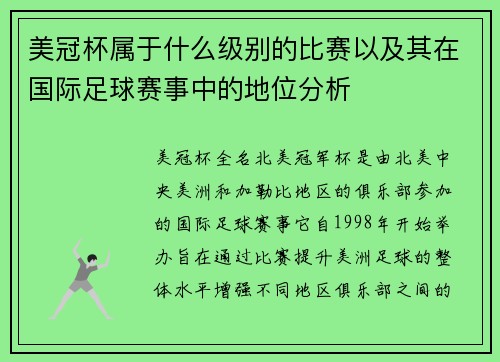 美冠杯属于什么级别的比赛以及其在国际足球赛事中的地位分析 美冠杯属于什么级别的比赛以及其在国际足球赛事中的地位分析